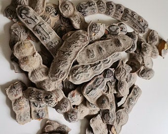 The Fruit Of Acacia Nilotica Or Nep Nep