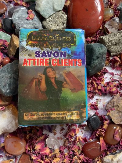 LIama Clients – Soap Call Client